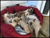 Budge up theres plenty of room - 12 weeks
