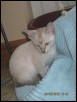 Chertan 9 weeks