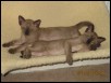 Tierra and Terra full stretch