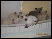 Not enough room