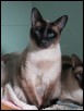 ​Mei at 2yrs 8 months