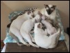 The proud mum