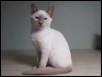 Heze 13 wks