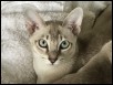 Kya 20 weeks