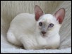 Kalena 13 weeks