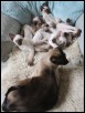 Thirteen weeks