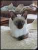 15 weeks