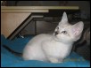 Neso 11 weeks