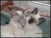 Artemus & Cassie