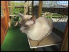 Mist 3 yrs 4mths