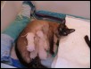 5 days old
